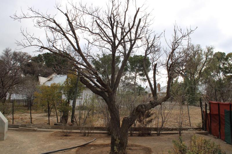 3 Bedroom Property for Sale in Fraserburg Northern Cape